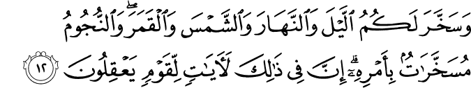 وَسَخَّرَ لَكُمُ اللَّيْلَ وَالنَّهَارَ وَالشَّمْسَ وَالْقَمَرَ ۖ وَالنُّجُومُ مُسَخَّرَاتٌ بِأَمْرِهِ ۗ إِنَّ فِي ذَٰلِكَ لَآيَاتٍ لِّقَوْمٍ يَعْقِلُونَ وَسَخَّرَ لَكُمُ اللَّيْلَ وَالنَّهَارَ وَالشَّمْسَ وَالْقَمَرَ ۖ وَالنُّجُومُ مُسَخَّرَاتٌ بِأَمْرِهِ ۗ إِنَّ فِي ذَٰلِكَ لَآيَاتٍ لِّقَوْمٍ يَعْقِلُونَ