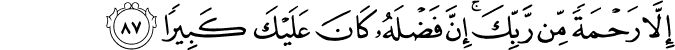 إِلَّا رَحْمَةً مِّن رَّبِّكَ ۚ إِنَّ فَضْلَهُ كَانَ عَلَيْكَ كَبِيرًا إِلَّا رَحْمَةً مِّن رَّبِّكَ ۚ إِنَّ فَضْلَهُ كَانَ عَلَيْكَ كَبِيرًا