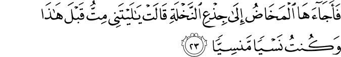 فَأَجَاءَهَا الْمَخَاضُ إِلَىٰ جِذْعِ النَّخْلَةِ قَالَتْ يَا لَيْتَنِي مِتُّ قَبْلَ هَـٰذَا وَكُنتُ نَسْيًا مَّنسِيًّا فَأَجَاءَهَا الْمَخَاضُ إِلَىٰ جِذْعِ النَّخْلَةِ قَالَتْ يَا لَيْتَنِي مِتُّ قَبْلَ هَـٰذَا وَكُنتُ نَسْيًا مَّنسِيًّا