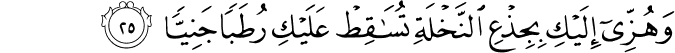 وَهُزِّي إِلَيْكِ بِجِذْعِ النَّخْلَةِ تُسَاقِطْ عَلَيْكِ رُطَبًا جَنِيًّا وَهُزِّي إِلَيْكِ بِجِذْعِ النَّخْلَةِ تُسَاقِطْ عَلَيْكِ رُطَبًا جَنِيًّا