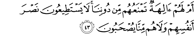 أَمْ لَهُمْ آلِهَةٌ تَمْنَعُهُم مِّن دُونِنَا ۚ لَا يَسْتَطِيعُونَ نَصْرَ أَنفُسِهِمْ وَلَا هُم مِّنَّا يُصْحَبُونَ أَمْ لَهُمْ آلِهَةٌ تَمْنَعُهُم مِّن دُونِنَا ۚ لَا يَسْتَطِيعُونَ نَصْرَ أَنفُسِهِمْ وَلَا هُم مِّنَّا يُصْحَبُونَ