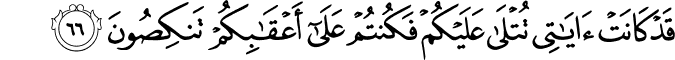 قَدْ كَانَتْ آيَاتِي تُتْلَىٰ عَلَيْكُمْ فَكُنتُمْ عَلَىٰ أَعْقَابِكُمْ تَنكِصُونَ قَدْ كَانَتْ آيَاتِي تُتْلَىٰ عَلَيْكُمْ فَكُنتُمْ عَلَىٰ أَعْقَابِكُمْ تَنكِصُونَ
