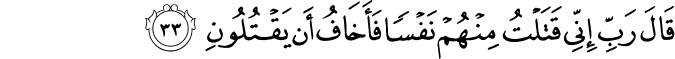 قَالَ رَبِّ إِنِّي قَتَلْتُ مِنْهُمْ نَفْسًا فَأَخَافُ أَن يَقْتُلُونِ قَالَ رَبِّ إِنِّي قَتَلْتُ مِنْهُمْ نَفْسًا فَأَخَافُ أَن يَقْتُلُونِ