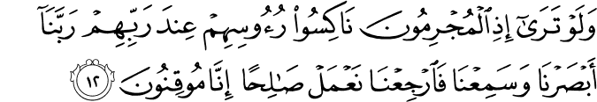 وَلَوْ تَرَىٰ إِذِ الْمُجْرِمُونَ نَاكِسُو رُءُوسِهِمْ عِندَ رَبِّهِمْ رَبَّنَا أَبْصَرْنَا وَسَمِعْنَا فَارْجِعْنَا نَعْمَلْ صَالِحًا إِنَّا مُوقِنُونَ وَلَوْ تَرَىٰ إِذِ الْمُجْرِمُونَ نَاكِسُو رُءُوسِهِمْ عِندَ رَبِّهِمْ رَبَّنَا أَبْصَرْنَا وَسَمِعْنَا فَارْجِعْنَا نَعْمَلْ صَالِحًا إِنَّا مُوقِنُونَ
