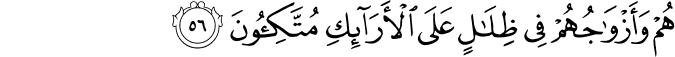 هُمْ وَأَزْوَاجُهُمْ فِي ظِلَالٍ عَلَى الْأَرَائِكِ مُتَّكِئُونَ