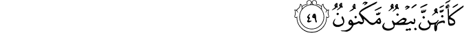 كَأَنَّهُنَّ بَيْضٌ مَّكْنُونٌ كَأَنَّهُنَّ بَيْضٌ مَّكْنُونٌ