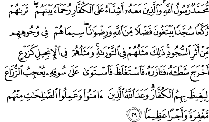 مُّحَمَّدٌ رَّسُولُ اللَّهِ ۚ وَالَّذِينَ مَعَهُ أَشِدَّاءُ عَلَى الْكُفَّارِ رُحَمَاءُ بَيْنَهُمْ ۖ تَرَاهُمْ رُكَّعًا سُجَّدًا يَبْتَغُونَ فَضْلًا مِّنَ اللَّهِ وَرِضْوَانًا ۖ سِيمَاهُمْ فِي وُجُوهِهِم مِّنْ أَثَرِ السُّجُودِ ۚ ذَٰلِكَ مَثَلُهُمْ فِي التَّوْرَاةِ ۚ وَمَثَلُهُمْ فِي الْإِنجِيلِ كَزَرْعٍ أَخْرَجَ شَطْأَهُ فَآزَرَهُ فَاسْتَغْلَظَ فَاسْتَوَىٰ عَلَىٰ سُوقِهِ يُعْجِبُ الزُّرَّاعَ لِيَغِيظَ بِهِمُ الْكُفَّارَ ۗ وَعَدَ اللَّهُ الَّذِينَ آمَنُوا وَعَمِلُوا الصَّالِحَاتِ مِنْهُم مَّغْفِرَةً وَأَجْرًا عَظِيمًا