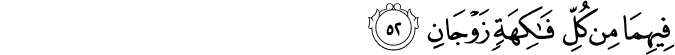 فِيهِمَا مِن كُلِّ فَاكِهَةٍ زَوْجَانِ فِيهِمَا مِن كُلِّ فَاكِهَةٍ زَوْجَانِ