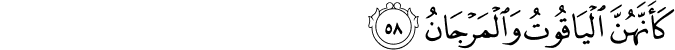 كَأَنَّهُنَّ الْيَاقُوتُ وَالْمَرْجَانُ كَأَنَّهُنَّ الْيَاقُوتُ وَالْمَرْجَانُ