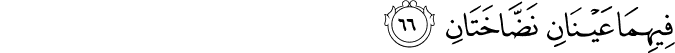 فِيهِمَا عَيْنَانِ نَضَّاخَتَانِ فِيهِمَا عَيْنَانِ نَضَّاخَتَانِ