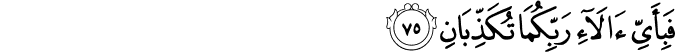 فَبِأَيِّ آلَاءِ رَبِّكُمَا تُكَذِّبَانِ فَبِأَيِّ آلَاءِ رَبِّكُمَا تُكَذِّبَانِ