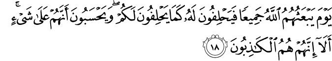 يَوْمَ يَبْعَثُهُمُ اللَّهُ جَمِيعًا فَيَحْلِفُونَ لَهُ كَمَا يَحْلِفُونَ لَكُمْ ۖ وَيَحْسَبُونَ أَنَّهُمْ عَلَىٰ شَيْءٍ ۚ أَلَا إِنَّهُمْ هُمُ الْكَاذِبُونَ يَوْمَ يَبْعَثُهُمُ اللَّهُ جَمِيعًا فَيَحْلِفُونَ لَهُ كَمَا يَحْلِفُونَ لَكُمْ ۖ وَيَحْسَبُونَ أَنَّهُمْ عَلَىٰ شَيْءٍ ۚ أَلَا إِنَّهُمْ هُمُ الْكَاذِبُونَ