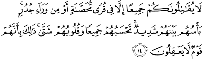 لَا يُقَاتِلُونَكُمْ جَمِيعًا إِلَّا فِي قُرًى مُّحَصَّنَةٍ أَوْ مِن وَرَاءِ جُدُرٍ ۚ بَأْسُهُم بَيْنَهُمْ شَدِيدٌ ۚ تَحْسَبُهُمْ جَمِيعًا وَقُلُوبُهُمْ شَتَّىٰ ۚ ذَٰلِكَ بِأَنَّهُمْ قَوْمٌ لَّا يَعْقِلُونَ لَا يُقَاتِلُونَكُمْ جَمِيعًا إِلَّا فِي قُرًى مُّحَصَّنَةٍ أَوْ مِن وَرَاءِ جُدُرٍ ۚ بَأْسُهُم بَيْنَهُمْ شَدِيدٌ ۚ تَحْسَبُهُمْ جَمِيعًا وَقُلُوبُهُمْ شَتَّىٰ ۚ ذَٰلِكَ بِأَنَّهُمْ قَوْمٌ لَّا يَعْقِلُونَ