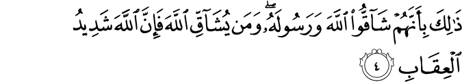 ذَٰلِكَ بِأَنَّهُمْ شَاقُّوا اللَّهَ وَرَسُولَهُ ۖ وَمَن يُشَاقِّ اللَّهَ فَإِنَّ اللَّهَ شَدِيدُ الْعِقَابِ ذَٰلِكَ بِأَنَّهُمْ شَاقُّوا اللَّهَ وَرَسُولَهُ ۖ وَمَن يُشَاقِّ اللَّهَ فَإِنَّ اللَّهَ شَدِيدُ الْعِقَابِ