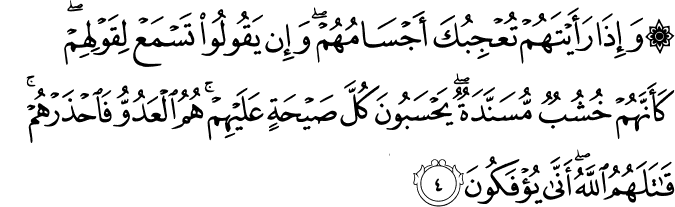 وَإِذَا رَأَيْتَهُمْ تُعْجِبُكَ أَجْسَامُهُمْ ۖ وَإِن يَقُولُوا تَسْمَعْ لِقَوْلِهِمْ ۖ كَأَنَّهُمْ خُشُبٌ مُّسَنَّدَةٌ ۖ يَحْسَبُونَ كُلَّ صَيْحَةٍ عَلَيْهِمْ ۚ هُمُ الْعَدُوُّ فَاحْذَرْهُمْ ۚ قَاتَلَهُمُ اللَّهُ ۖ أَنَّىٰ يُؤْفَكُونَ