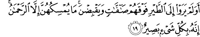 أَوَلَمْ يَرَوْا إِلَى الطَّيْرِ فَوْقَهُمْ صَافَّاتٍ وَيَقْبِضْنَ ۚ مَا يُمْسِكُهُنَّ إِلَّا الرَّحْمَـٰنُ ۚ إِنَّهُ بِكُلِّ شَيْءٍ بَصِيرٌ أَوَلَمْ يَرَوْا إِلَى الطَّيْرِ فَوْقَهُمْ صَافَّاتٍ وَيَقْبِضْنَ ۚ مَا يُمْسِكُهُنَّ إِلَّا الرَّحْمَـٰنُ ۚ إِنَّهُ بِكُلِّ شَيْءٍ بَصِيرٌ