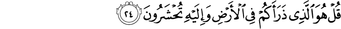 قُلْ هُوَ الَّذِي ذَرَأَكُمْ فِي الْأَرْضِ وَإِلَيْهِ تُحْشَرُونَ قُلْ هُوَ الَّذِي ذَرَأَكُمْ فِي الْأَرْضِ وَإِلَيْهِ تُحْشَرُونَ