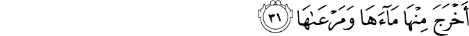أَخْرَجَ مِنْهَا مَاءَهَا وَمَرْعَاهَا أَخْرَجَ مِنْهَا مَاءَهَا وَمَرْعَاهَا