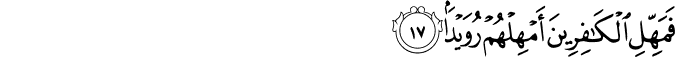 فَمَهِّلِ الْكَافِرِينَ أَمْهِلْهُمْ رُوَيْدًا فَمَهِّلِ الْكَافِرِينَ أَمْهِلْهُمْ رُوَيْدًا