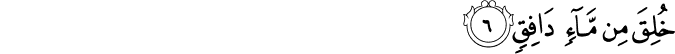 خُلِقَ مِن مَّاءٍ دَافِقٍ خُلِقَ مِن مَّاءٍ دَافِقٍ
