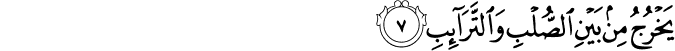 يَخْرُجُ مِن بَيْنِ الصُّلْبِ وَالتَّرَائِبِ يَخْرُجُ مِن بَيْنِ الصُّلْبِ وَالتَّرَائِبِ