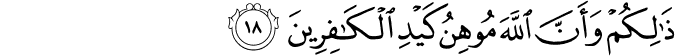 ذَٰلِكُمْ وَأَنَّ اللَّهَ مُوهِنُ كَيْدِ الْكَافِرِينَ ذَٰلِكُمْ وَأَنَّ اللَّهَ مُوهِنُ كَيْدِ الْكَافِرِينَ