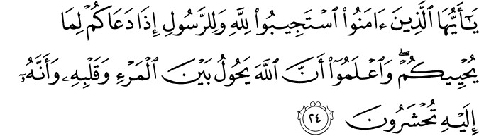 يَا أَيُّهَا الَّذِينَ آمَنُوا اسْتَجِيبُوا لِلَّهِ وَلِلرَّسُولِ إِذَا دَعَاكُمْ لِمَا يُحْيِيكُمْ ۖ وَاعْلَمُوا أَنَّ اللَّهَ يَحُولُ بَيْنَ الْمَرْءِ وَقَلْبِهِ وَأَنَّهُ إِلَيْهِ تُحْشَرُونَ يَا أَيُّهَا الَّذِينَ آمَنُوا اسْتَجِيبُوا لِلَّهِ وَلِلرَّسُولِ إِذَا دَعَاكُمْ لِمَا يُحْيِيكُمْ ۖ وَاعْلَمُوا أَنَّ اللَّهَ يَحُولُ بَيْنَ الْمَرْءِ وَقَلْبِهِ وَأَنَّهُ إِلَيْهِ تُحْشَرُونَ